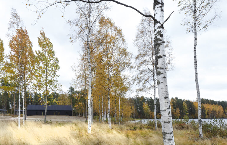 Rest Area Niemenharju Camping site service building Designed by Studio Puisto Architects